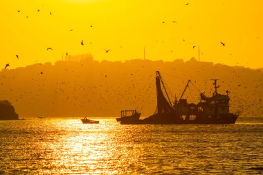 Gün batımında martılarla balıkçı teknesi