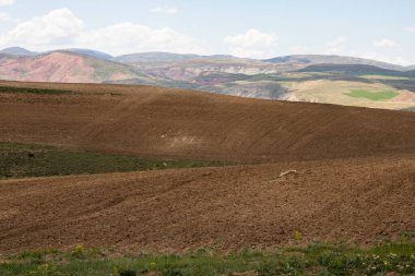 Bulutlu gökyüzü olan tarım alanları