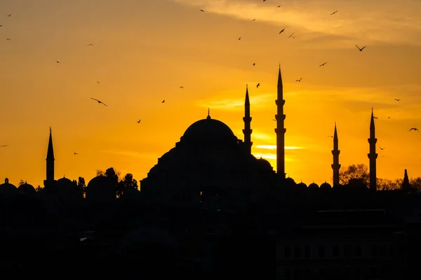 Silhueta Mesquita Suleymaniye Istambul Pôr Sol — Fotografia de Stock