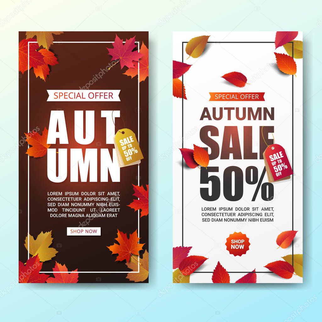 Autumn sale banner layout template modern design decorate with maple and realistic leaves for shopping sale or promotion poster, leaflet and web banner. Vector illustration.