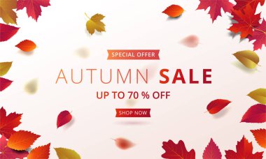 Sonbahar promosyon afiş düzen şablonu modern tasarım akçaağaç ve indirim poster, alışveriş Satılık, broşür, sahil yolu el ilanı ve web afiş gerçekçi yaprakları ile süsleyin. Vektör çizim.