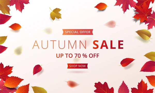 Sonbahar promosyon afiş düzen şablonu modern tasarım akçaağaç ve indirim poster, alışveriş Satılık, broşür, sahil yolu el ilanı ve web afiş gerçekçi yaprakları ile süsleyin. Vektör çizim.