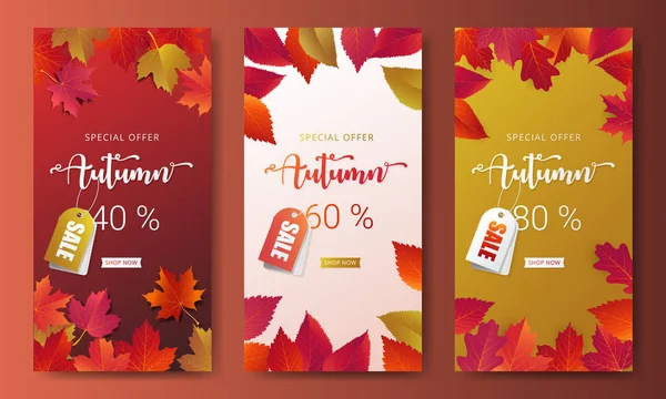 Plantilla Diseño Banner Promoción Otoño Diseño Moderno Decorar Con Arce — Vector de stock