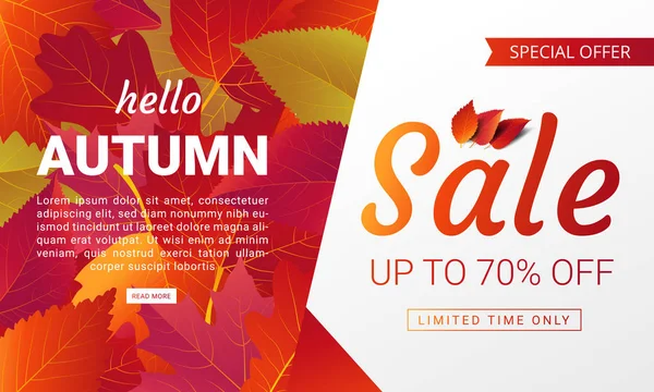 Autumn Sale Banner Layout Template Modern Design Decorate Maple Realistic — Stock Vector