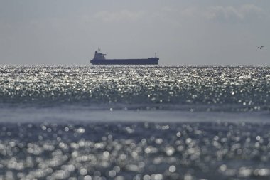 Endüstriyel gemi. Kuru yük gemisi, deniz suyu üzerinde gider. Martı gökyüzünde hovers. Yatay olarak çerçeveli atış.