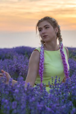 Lavanta alandaki uzun örgüler ile güzel ve seksi kız portresi. Günbatımı içinde belgili tanımlık geçmiş. Dikey olarak çerçeveli atış.