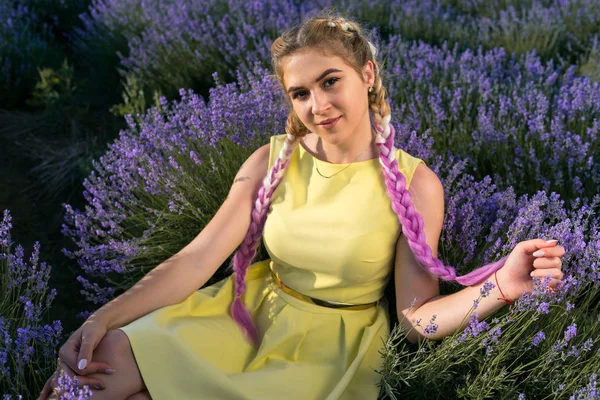 Ung Vacker Blondin Med Långa Rosa Flätor Sitter Ett Lavendelfält — Stockfoto