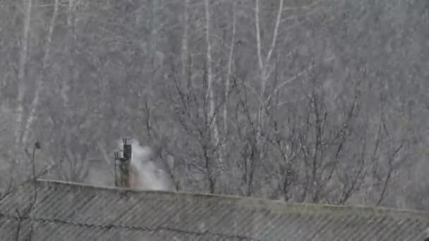 Fumar Chaminés Telhados Com Neve Casas Emite Fumaça Está Nevando — Vídeo de Stock