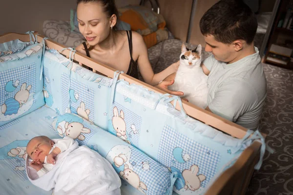 Rodzina scena. Rodzice siedzą w łóżeczku noworodka. Mama patrzy na syna. Ojciec posiada kota w jego ramionach. Szczęśliwe życie rodzinne. Urodził się człowiek. — Zdjęcie stockowe