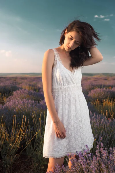 Рост портрет красивой брюнетки в белом платье в лавандовом поле . — стоковое фото