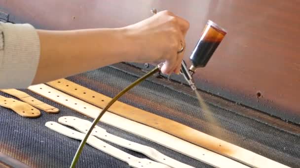 Artisanat Cuir Provoque Peinture Sur Les Sangles Concept Fait Main — Video