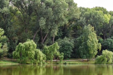 Park alanının görünümü. Ağaçlar göl suya yansıtılır.
