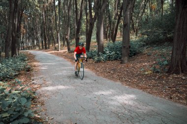 Ormanda bir bisikletçi yolda bir yol bisiklet sürmek.