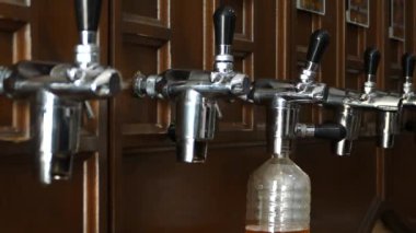 Altın bira plastik bir şişeye dökülür. Bira şişeleme tesisi.