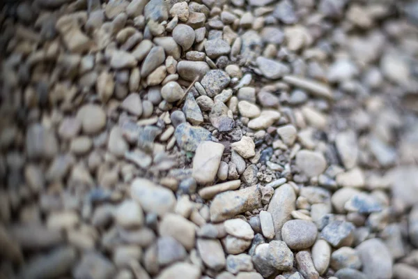 Fondo de piedra de río o mar. Conjunto de todo tipo de piedras. Parte de la imagen está borrosa . — Foto de Stock