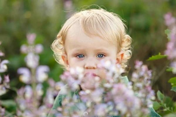 Niño Lindo Campo Lavanda Feliz Ocio Familiar Aire Libre Tiro — Foto de Stock