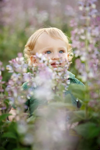 Niño Lindo Campo Lavanda Feliz Ocio Familiar Aire Libre Tiro — Foto de Stock