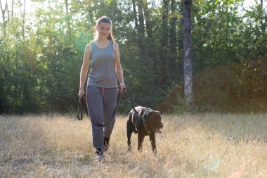 Siyah Labrador 'la parkta yürüyen çekici genç bir kız. Sağlıklı bir yaşam tarzı. En sevdiğiniz evcil hayvanla yürüyün. Yatay çerçeveli çekim.