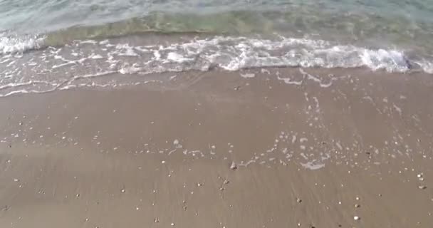 Havsvattnet Tvättad Vid Stranden — Stockvideo