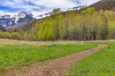Provo, Utah, büyük Springs parkta iz