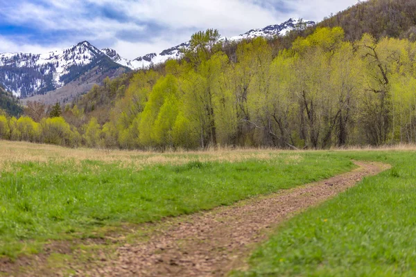 Provo, Utah, büyük Springs parkta iz