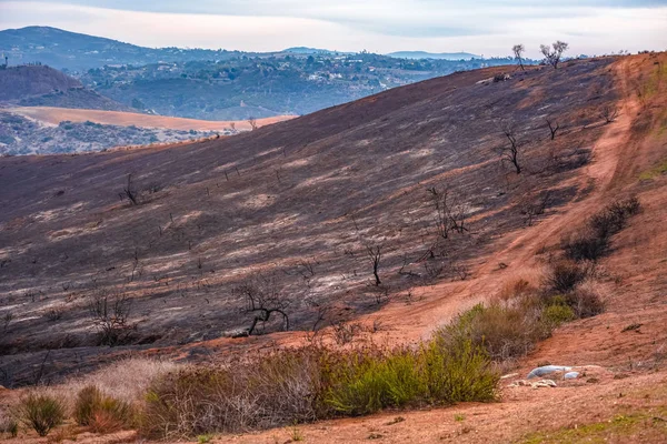 Sentiers en Californie frappés par le feu — Photo