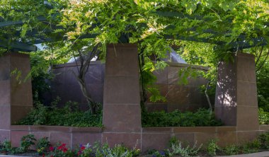 Temple Square güzel yaprakları