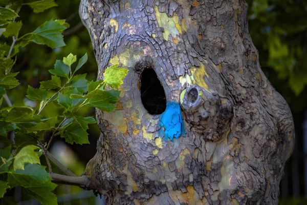 Buraco em uma árvore no centro da cidade com tinta spray azul — Fotografia de Stock