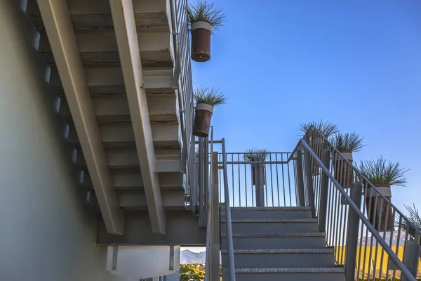 Topfpflanzen Säumen Die Treppe Eines Modernen Bürogebäudes Bei Tagesanbruch Einem — Stockfoto