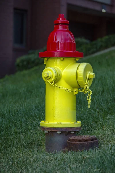 Incendio amarillo y rojo hidrante centro residencial — Foto de Stock