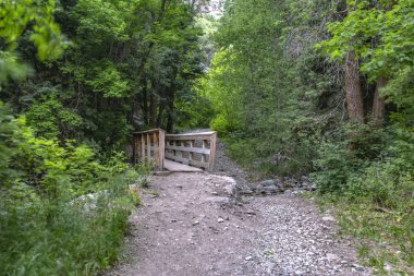 Provo izinde dere üzerinde köprü