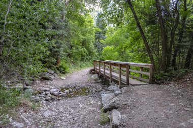 Küçük dere üzerinde köprü