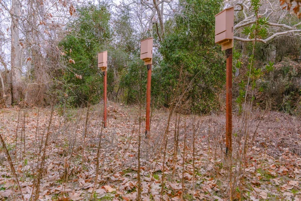 Bat boxes in the woods