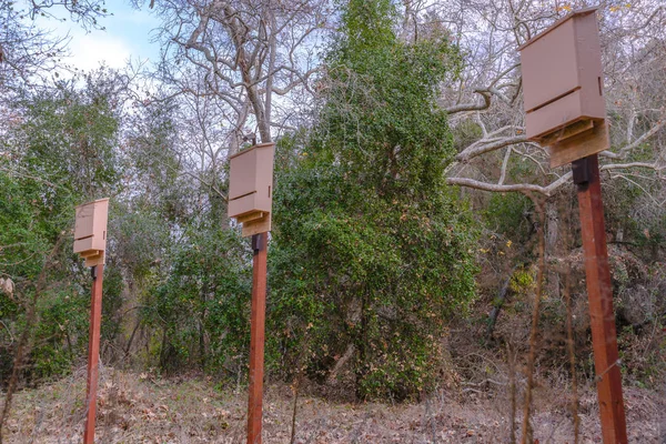 Bat boxes standing tall in the woods