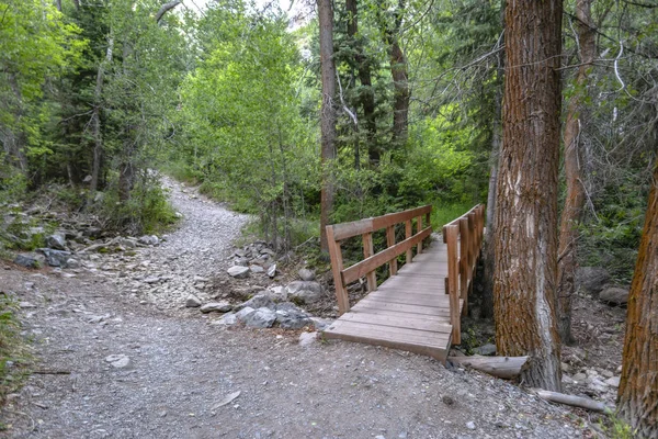 Ayak izi Provo köprüde