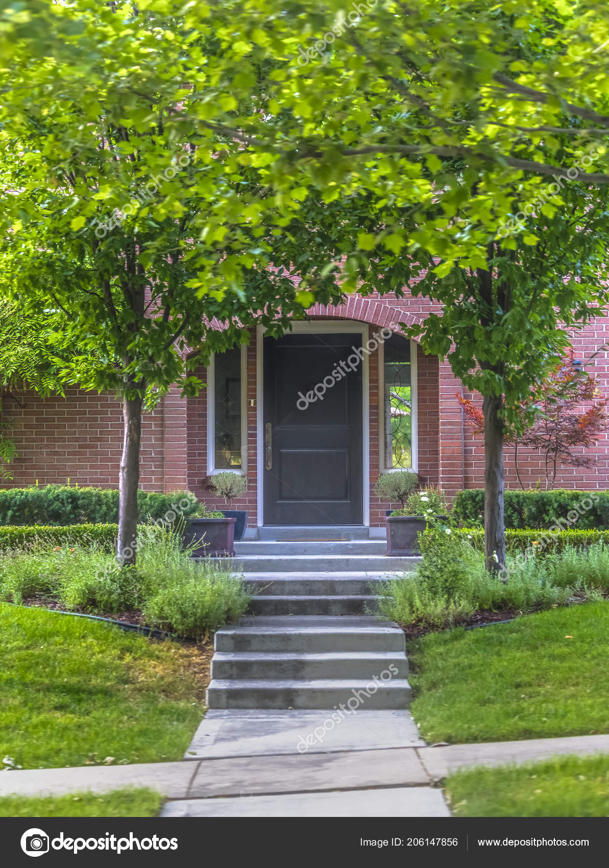 Trees Framing The Path To The Front Door Stock Photo