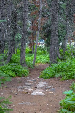 Taş zemin ahşap izinde