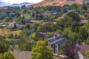 Tepeler ve ağaçlar evlerde