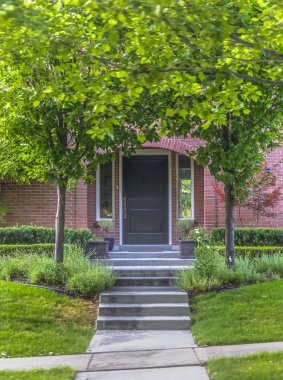 Ön kapıya yol çerçeveleme ağaçlar