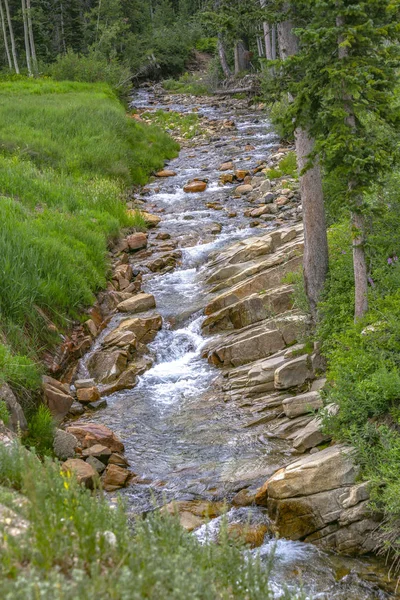 Крік тече з білою водою — стокове фото