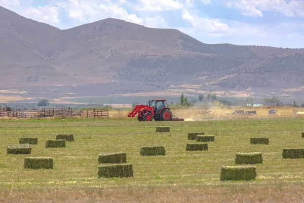 Haystacks y un tractor trabajando en los campos — Foto de Stock