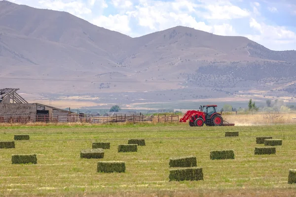 Tractor trabajando en los campos — Foto de Stock