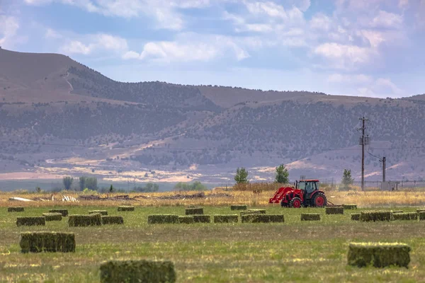 Tractor working the fileds — Stock Photo, Image