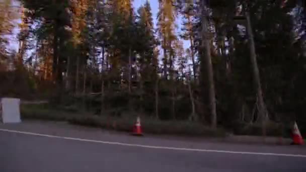 Passage de la route et panneau d'arrêt dans la forêt Yosemite — Video