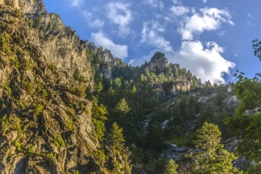 Dağları ve ağaçları provokatör Kanyon kez izlendi. Bulutlar ile sunset yakınında rock Canyon ararken doğal çam ağaçları iz.