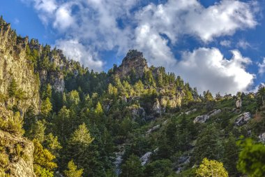 Dağları ve ağaçları provokatör Kanyon kez izlendi. Bulutlar ile sunset yakınında rock Canyon ararken doğal çam ağaçları iz.