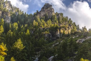 Dağları ve ağaçları provokatör Kanyon kez izlendi. Bulutlar ile sunset yakınında rock Canyon ararken doğal çam ağaçları iz.