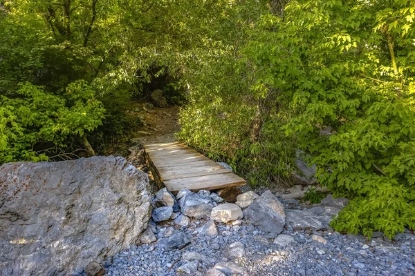 Feuillage Pont Passant Sur Petit Ruisseau Avec Une Lumière Dorée — Photo