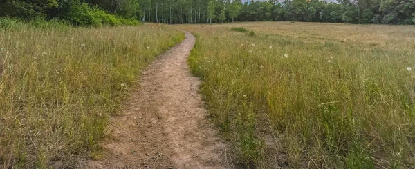 Каньйон Прово Trail Переглядів Шляху Скво Пік Листям Деревами Зелених — стокове фото