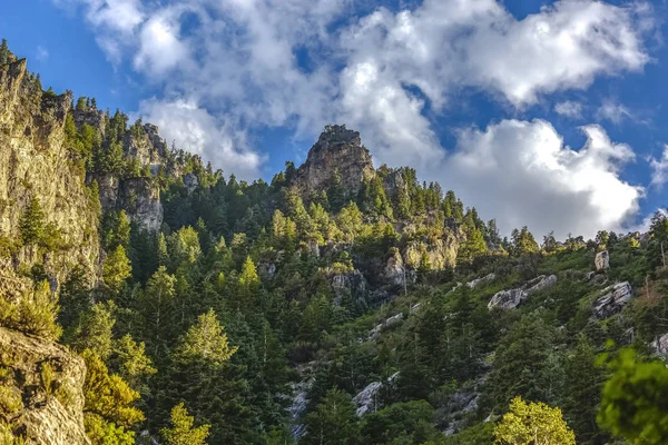 Dağları ve ağaçları provokatör Kanyon kez izlendi. Bulutlar ile sunset yakınında rock Canyon ararken doğal çam ağaçları iz.